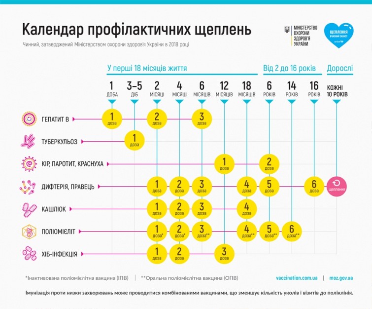 Проведення вакцинації відповідно до календаря щеплень